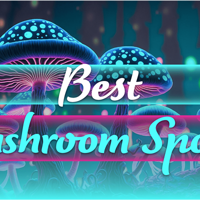 Mushroom Spores to Buy Online: Top 5 Mushroom Vendors (2)