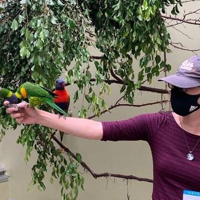 National Aviary’s new exhibit highlights forest habitats with fun, interactive programming