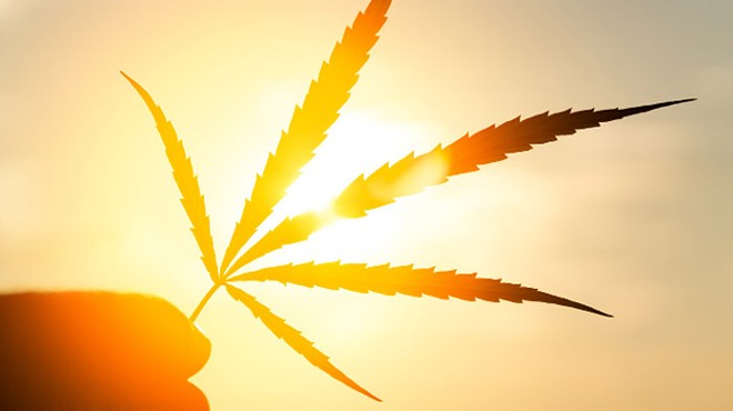 Finding Releaf Through Medical Marijuana