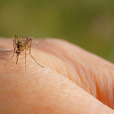 Health department announces mosquito season with West Nile prevention tips