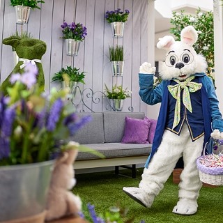 Photos with the Easter Bunny at Ross Park Mall