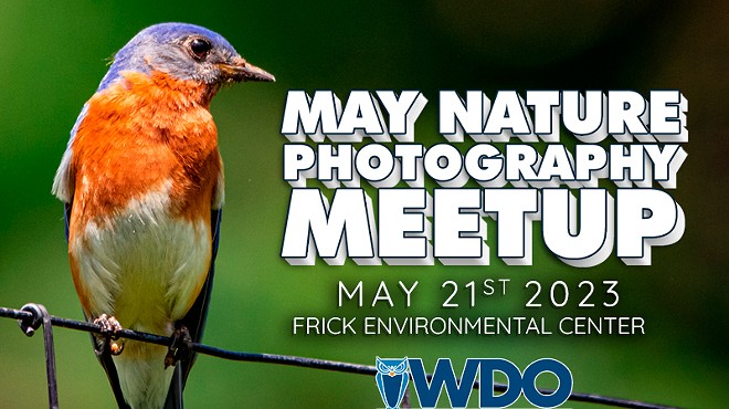 Pittsburgh Nature Photography Meetup