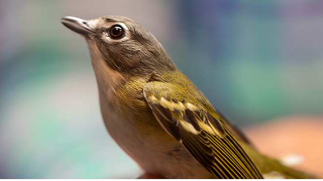 POWDERMILL AVIAN RESEARCH CENTER FREE GUIDED TOUR