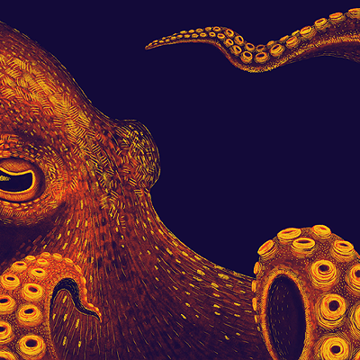 Science Friday Presents: Cephalopod Night