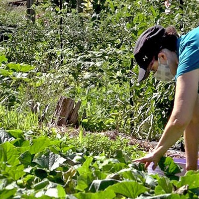 Seven local urban farming projects funded by Department of Agriculture