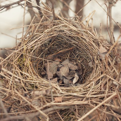 The empty nest doesn't necessarily feel how you think it will