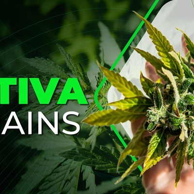 The Top-rated Sativa Strains of 2024 That’ll Give Energy & Mental Clarity