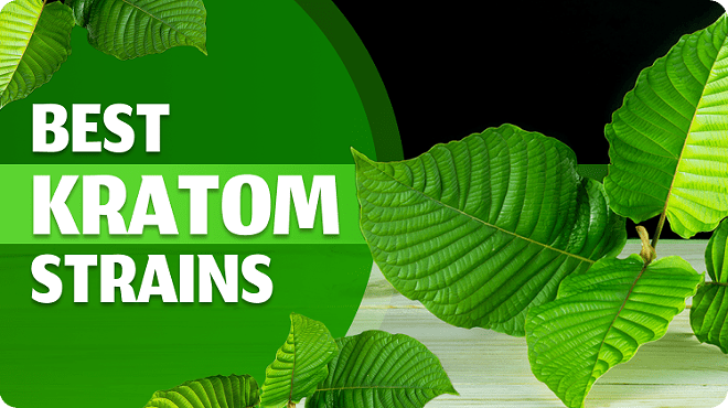Types of Kratom- 5 Kratom Strains You Need to Try