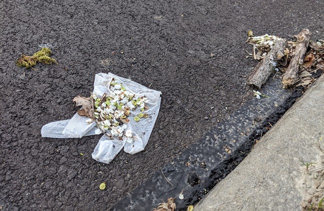 Pittsburgh residents express frustration over PPE litter found throughout city (3)