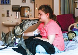 Greyhound's tragic injury makes her an inspiration to sick children