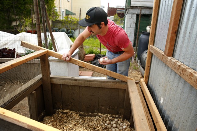 PHOTOS: Meet Ben Muti, Troy Hill's urban beekeeper