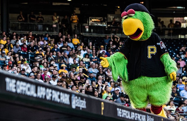 A dead penguin, a drug-running parrot and the dark past of Pittsburgh's  mascots - The Athletic