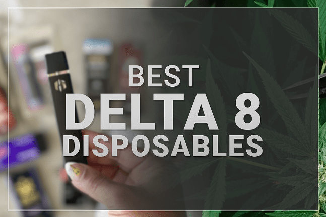 2023’s Best Delta 8 Disposable Vape Pens: Top 10 THC Disposables From Reputable Brands