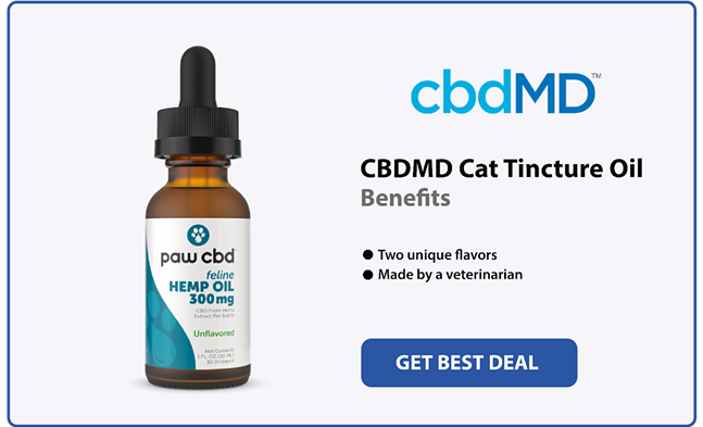 5 Best CBD Oil for Cats in 2024 (4)