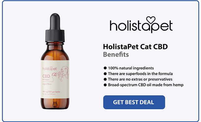 5 Best CBD Oil for Cats in 2024 (5)