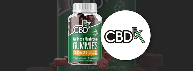 Best CBD Gummies that are Healthy and Delicious