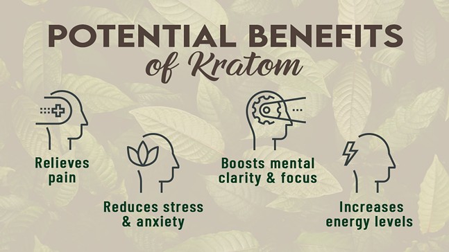 Red Bali Kratom Information [2024]: Benefits, Dosage & Where to Buy