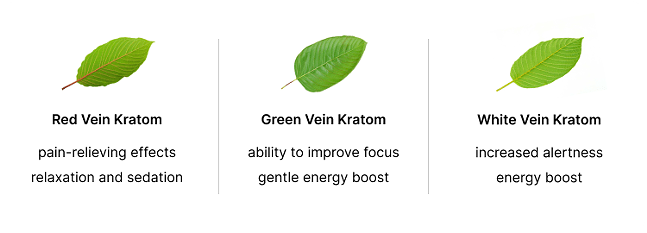 Best Kratom for Pain: 5 High-Quality Kratom Strains