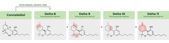 Delta 8 vs. Delta 9: What You Need To Know & Differences