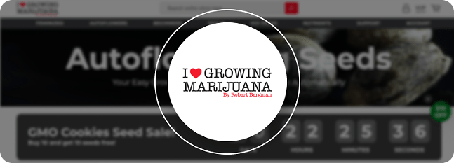 How to Start Growing Marijuana Seeds: Best Practices & Tips