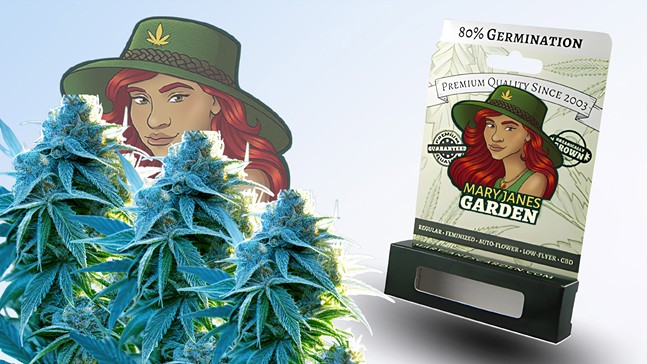 Best Seed Banks Online: Buy Potent & High-Yield Marijuana Seeds Legally in 2024