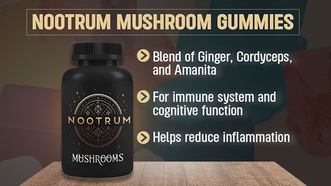 7 Best Mushroom Gummies To Try in 2024 To Relax & Increase Energy Levels