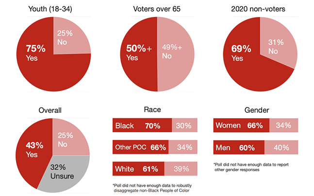 A graph showing significant support among all demographics except voters over 65 for divestment