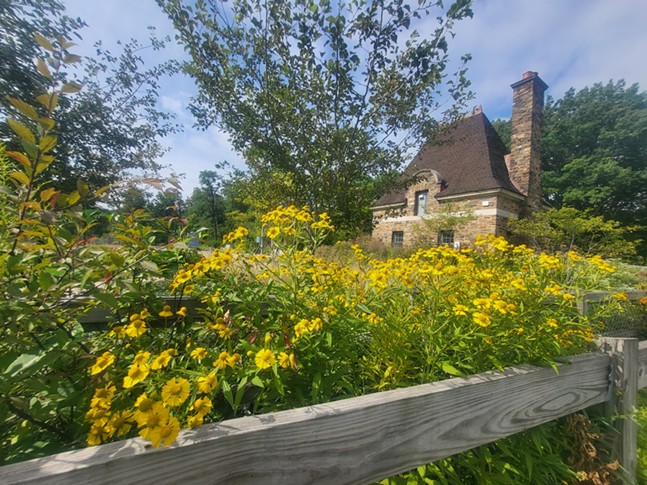 Bright yellow flowers overflow along a wood fence near a high-roofed stone gatehouse