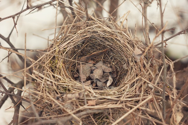 The empty nest doesn't necessarily feel how you think it will