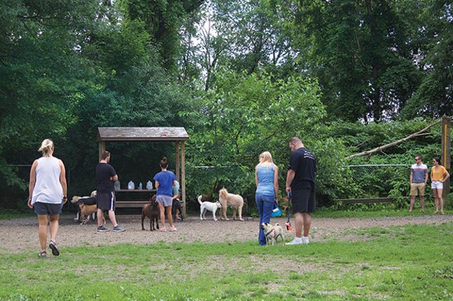 Yappy hour at Pittsburgh’s dog parks