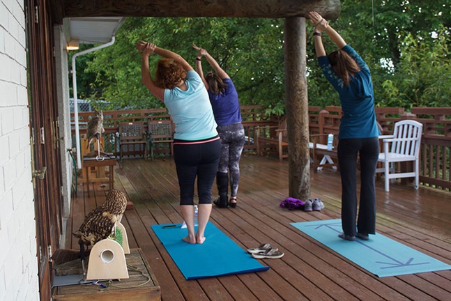 Humane Animal Rescue pairs yoga with owls (10)