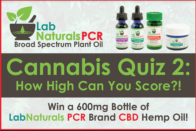 Cannabis Quiz 2 - The Sequel