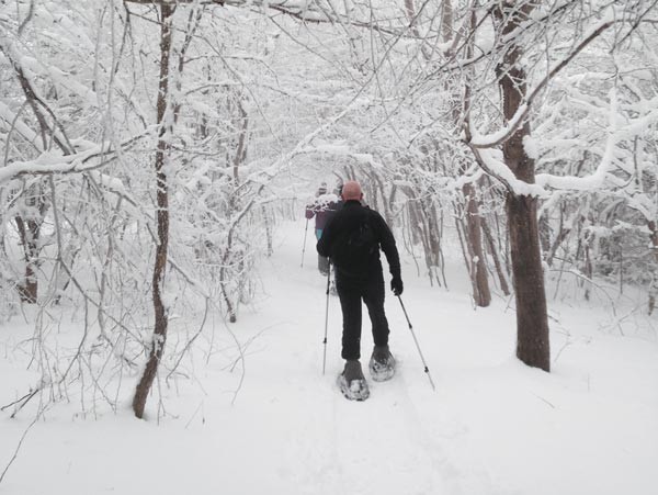Snowshoe hikes with Venture Outdoors
