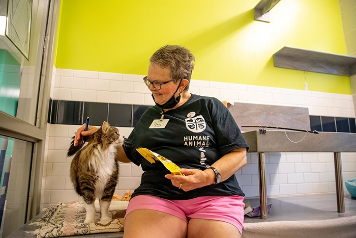 Kitten Yoga, sponsored by Pittsburgh's Animal Friends, is a hands-on  adoption tool, News, Pittsburgh