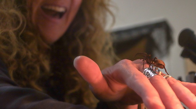 Pittsburgh “spiderologist” Amy Bianco wants you to give arachnids a chance