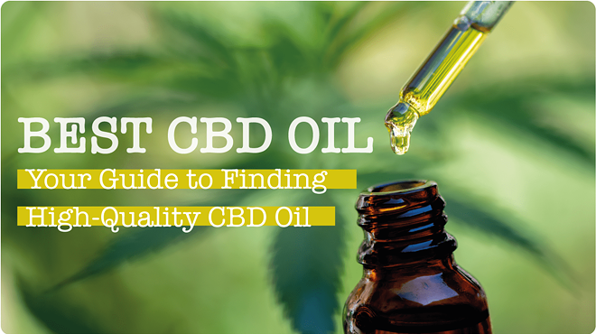 Best CBD Oil Brands: Your Guide to Finding High-Quality CBD Oil
