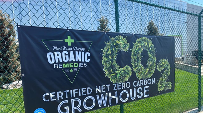What Happens When a Marijuana Company Commits to Being Green (5)