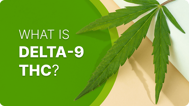 What is Delta-9 THC? Effects, Best Products and Brands (6)