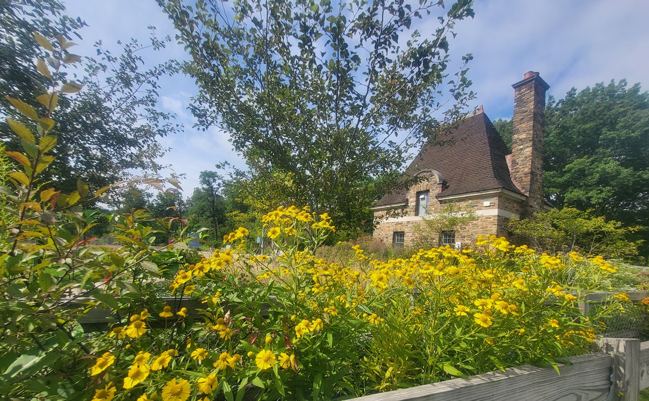 With some learning, more local plants are edible than you think