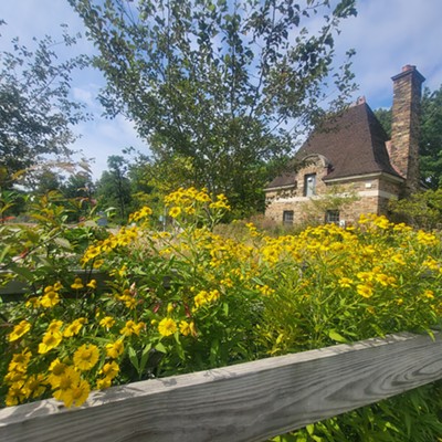 Bright yellow flowers overflow along a wood fence near a high-roofed stone gatehouse